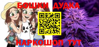 ГАЛЛЮЦИНОГЕННЫЕ ГРИБЫ Новозыбков