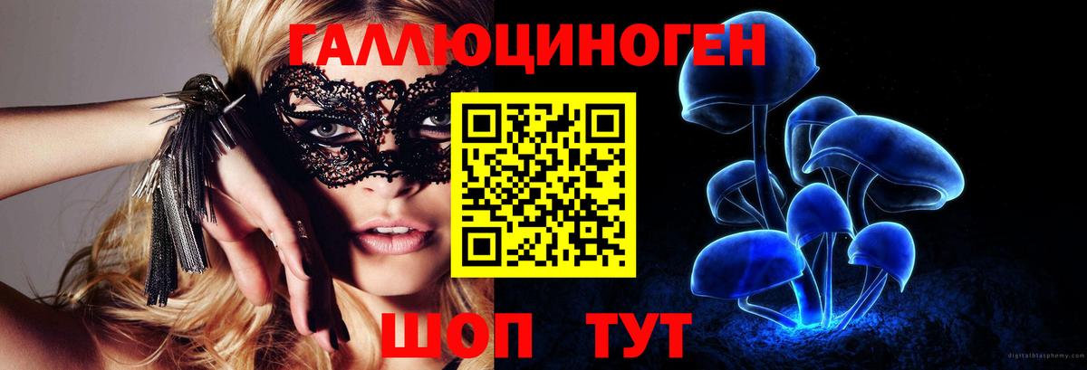 Узловая  Галлюциногенные грибы MAGIC MUSHROOMS  Псилоцибиновые грибы мицелий  Вход с VPN 